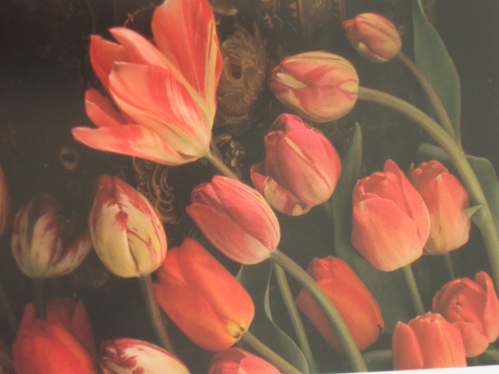 Blomsterbo: boktips från blomsterbo; 1