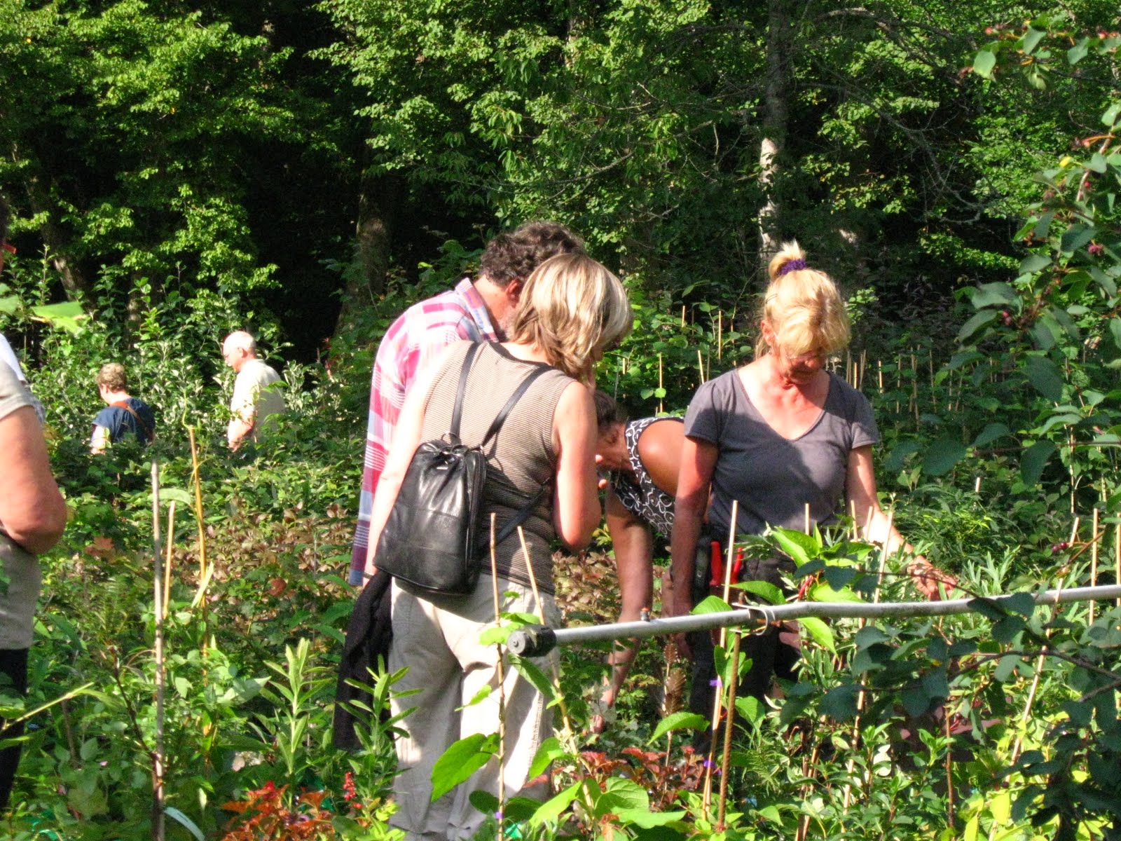 Blomsterbo: 2 dagar med trädgård för hela slanten!