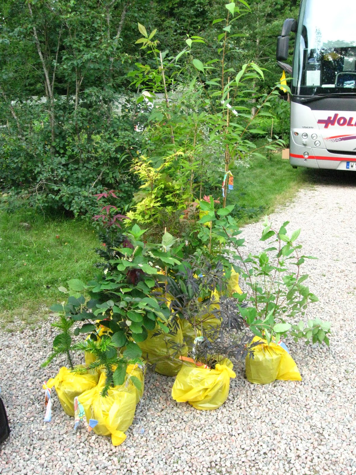 Blomsterbo: 2 dagar med trädgård för hela slanten!