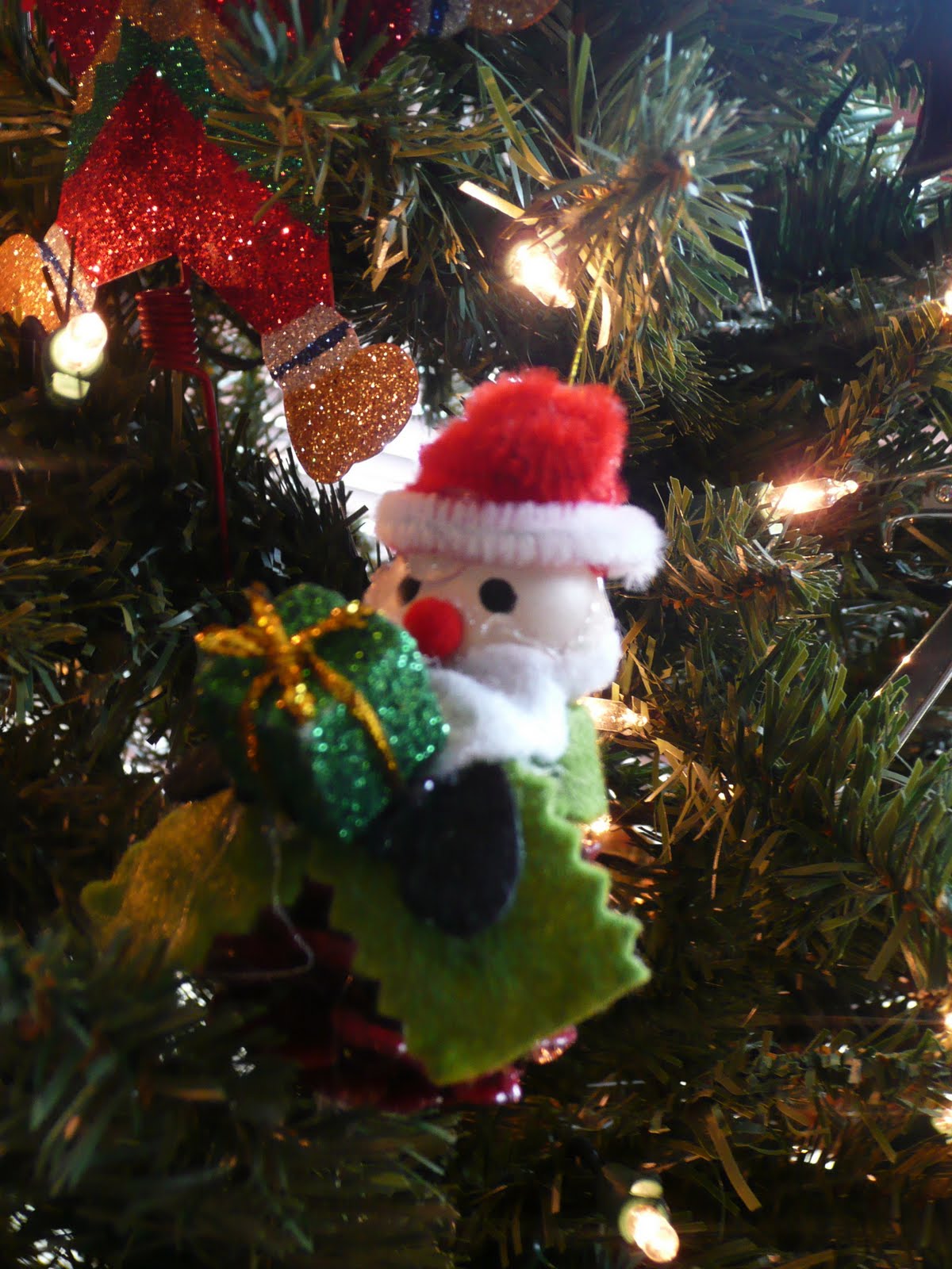 The Soladay Family: November 2009