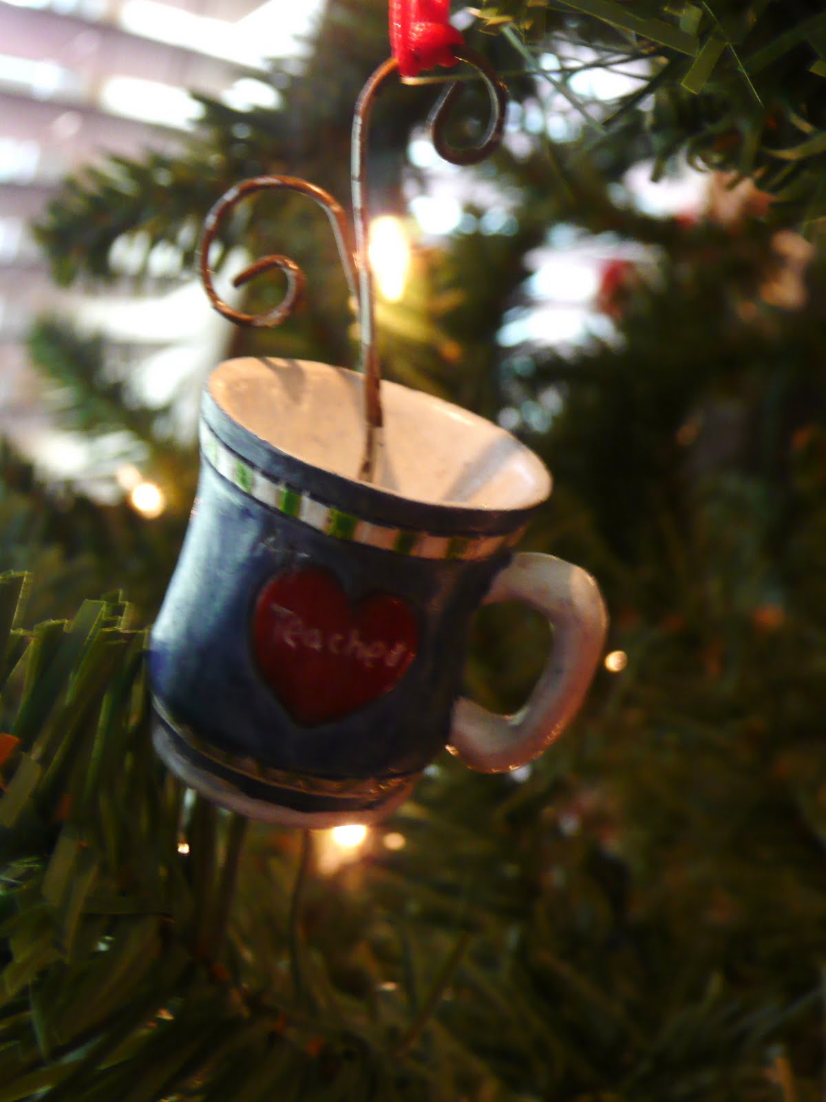 The Soladay Family: November 2009