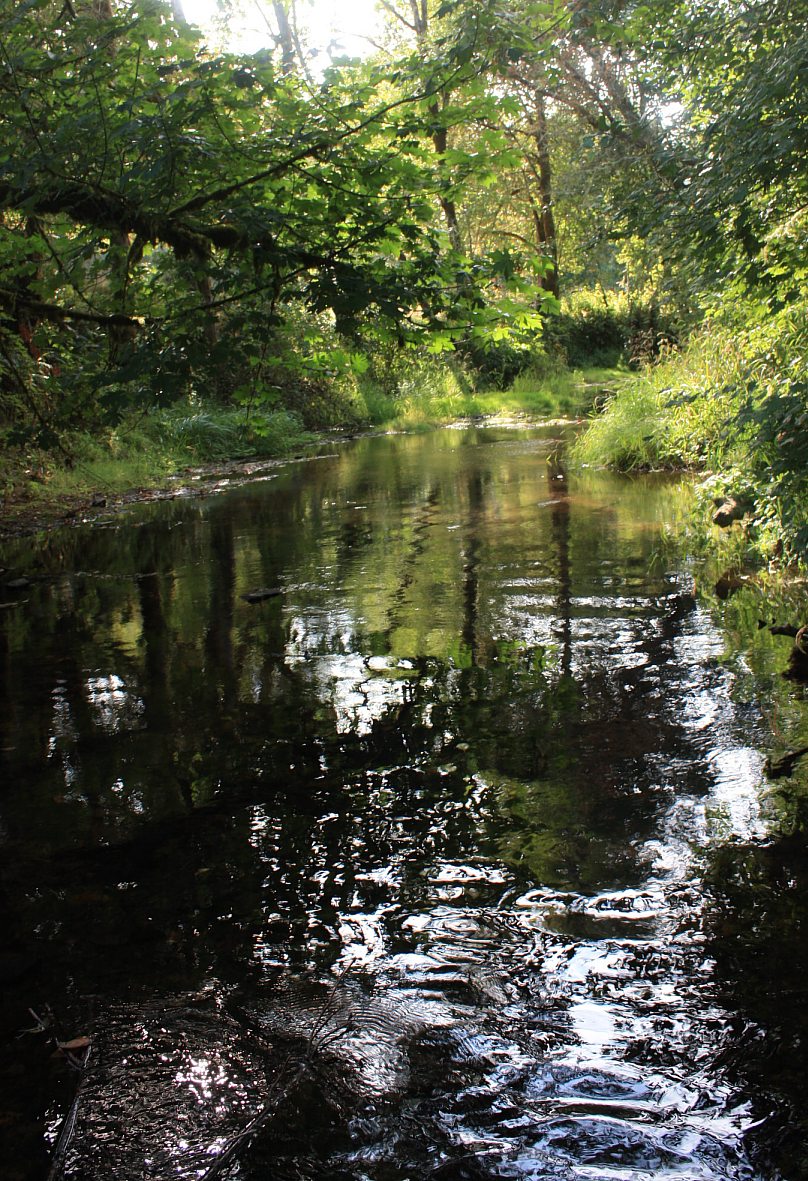 [IMG_6813.JPG]