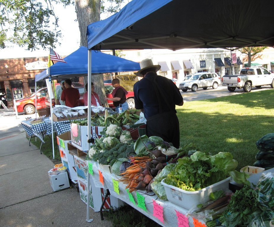 Kathleen Harrington Paints Hudson Ohio Photo Book