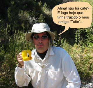 [IMG_3722ab.jpg]
