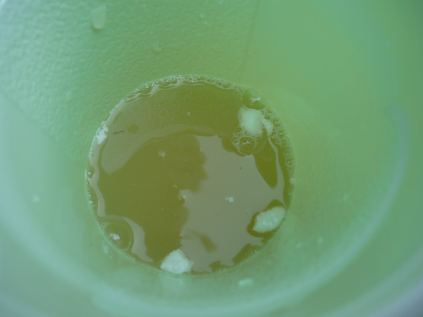 Chemistry Blog Marshmallow Chemical vs. Physical Changes