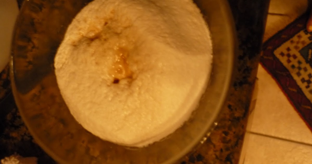 Chemistry Blog Marshmallow Chemical vs. Physical Changes