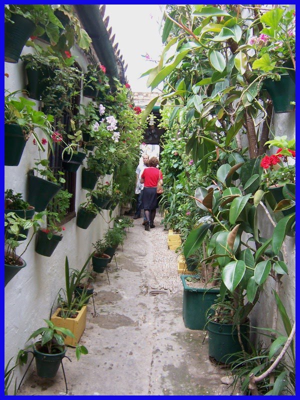 sueños_que_despiertan: Los patios