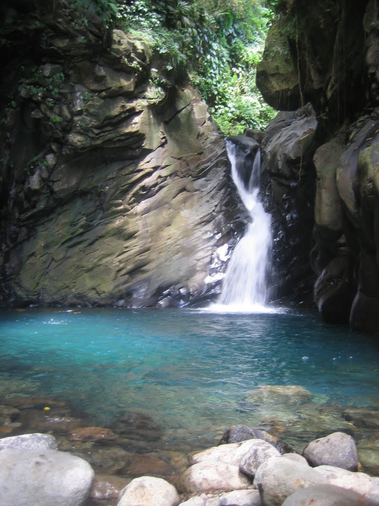 [IMG_4273.JPG]