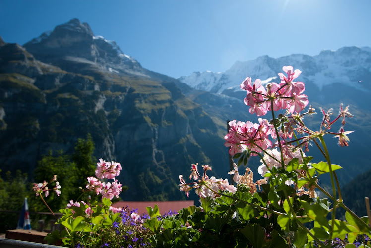 IMAGE: http://2.bp.blogspot.com/_CLwZdf7F2f8/TNl4NkA8GlI/AAAAAAAACk0/G1iD2n5M774/S748/My%2BGimmelwald%2BRoom%2527s%2BView.jpg