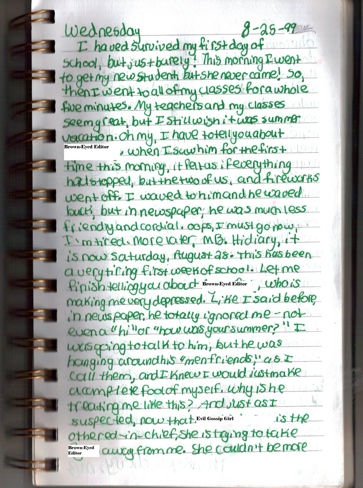 [diary.bmp]