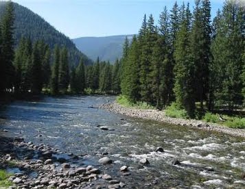 [gallatin+river.jpg]