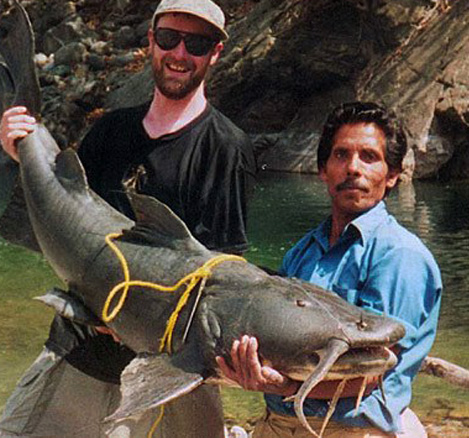 ... macam ikan terbesar yang pernah di tangkap di penju