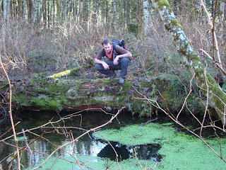 taylor mountain forest hikingwithmybrother