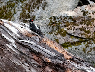 gold creek alaska lake hikingwithmybrother