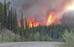 Asia’s Wildfires
