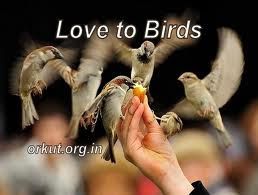 Spread Message of Love