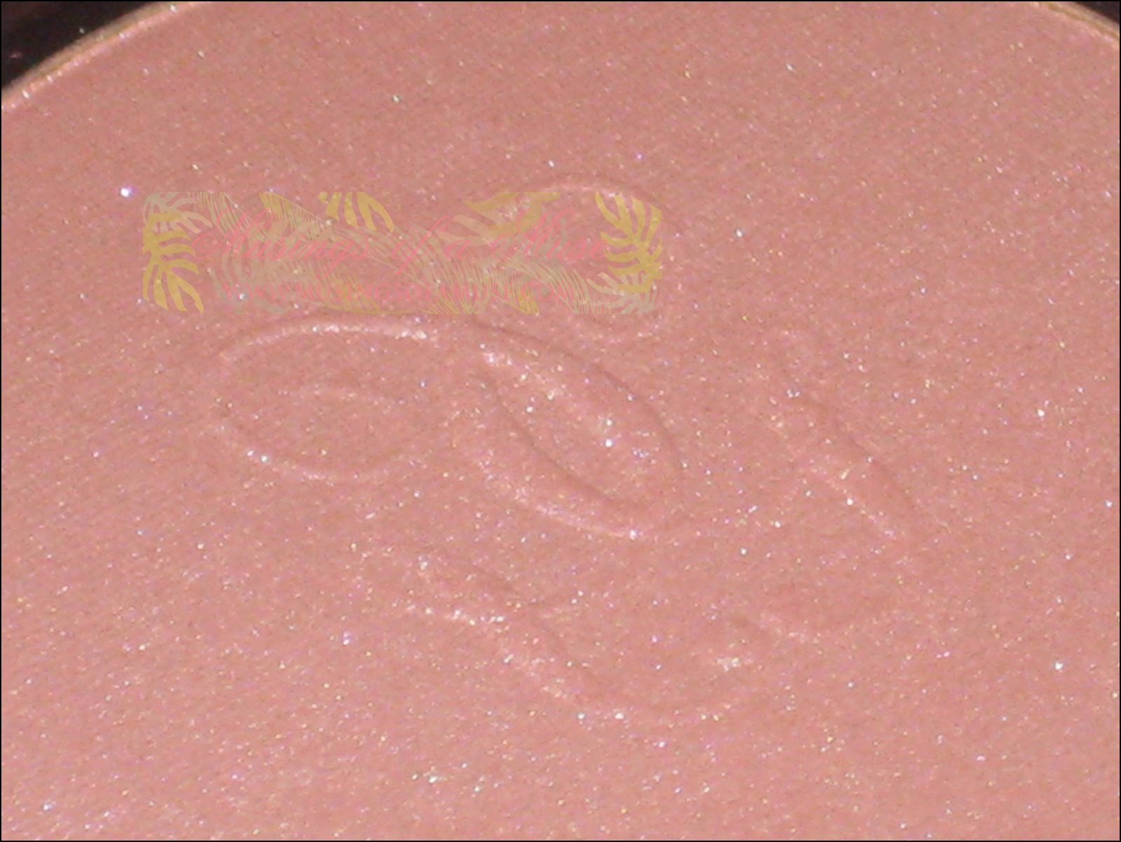 [Guerlain+Terracotta+Blush+&+Sun+009.JPG]