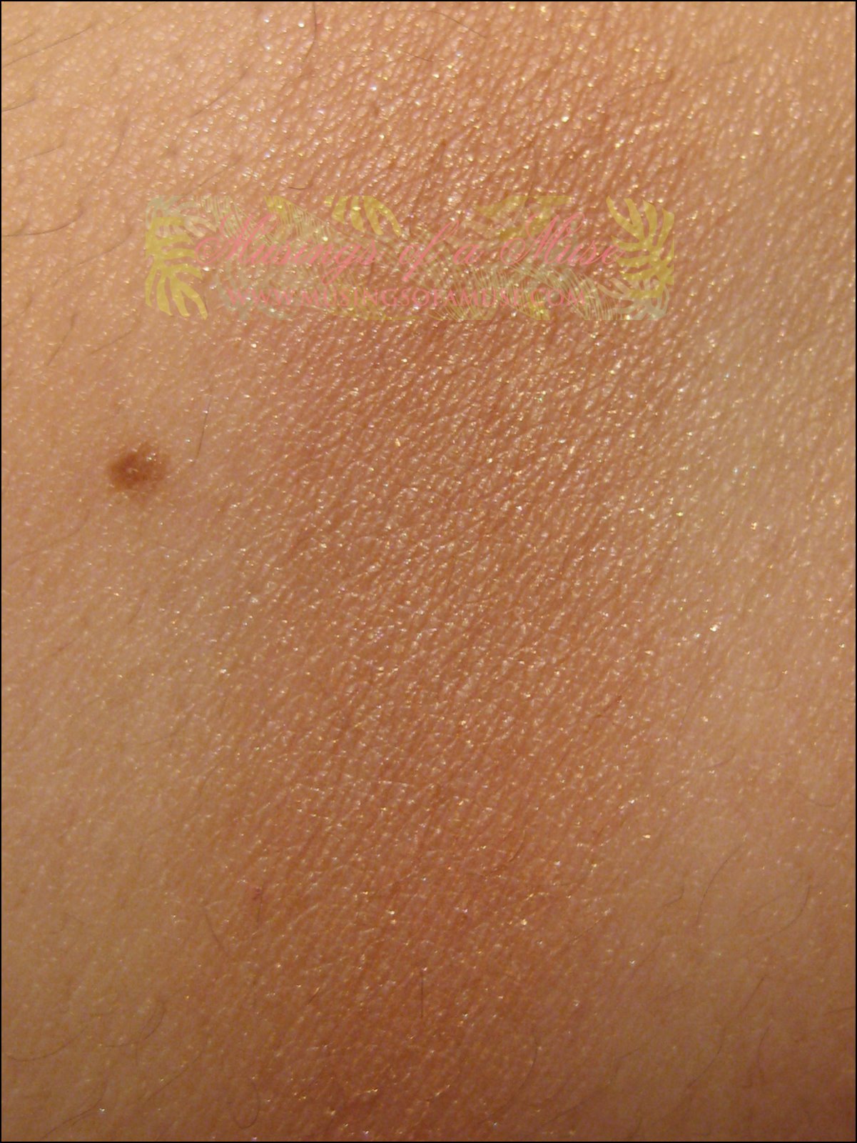 [Guerlain+Terracotta+Blush+&+Sun+012.JPG]