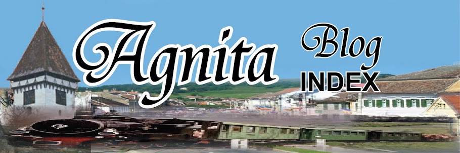 Agnita Blog INDEX