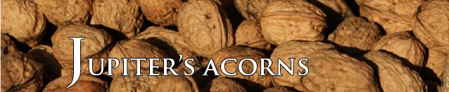 Jupiter's acorns