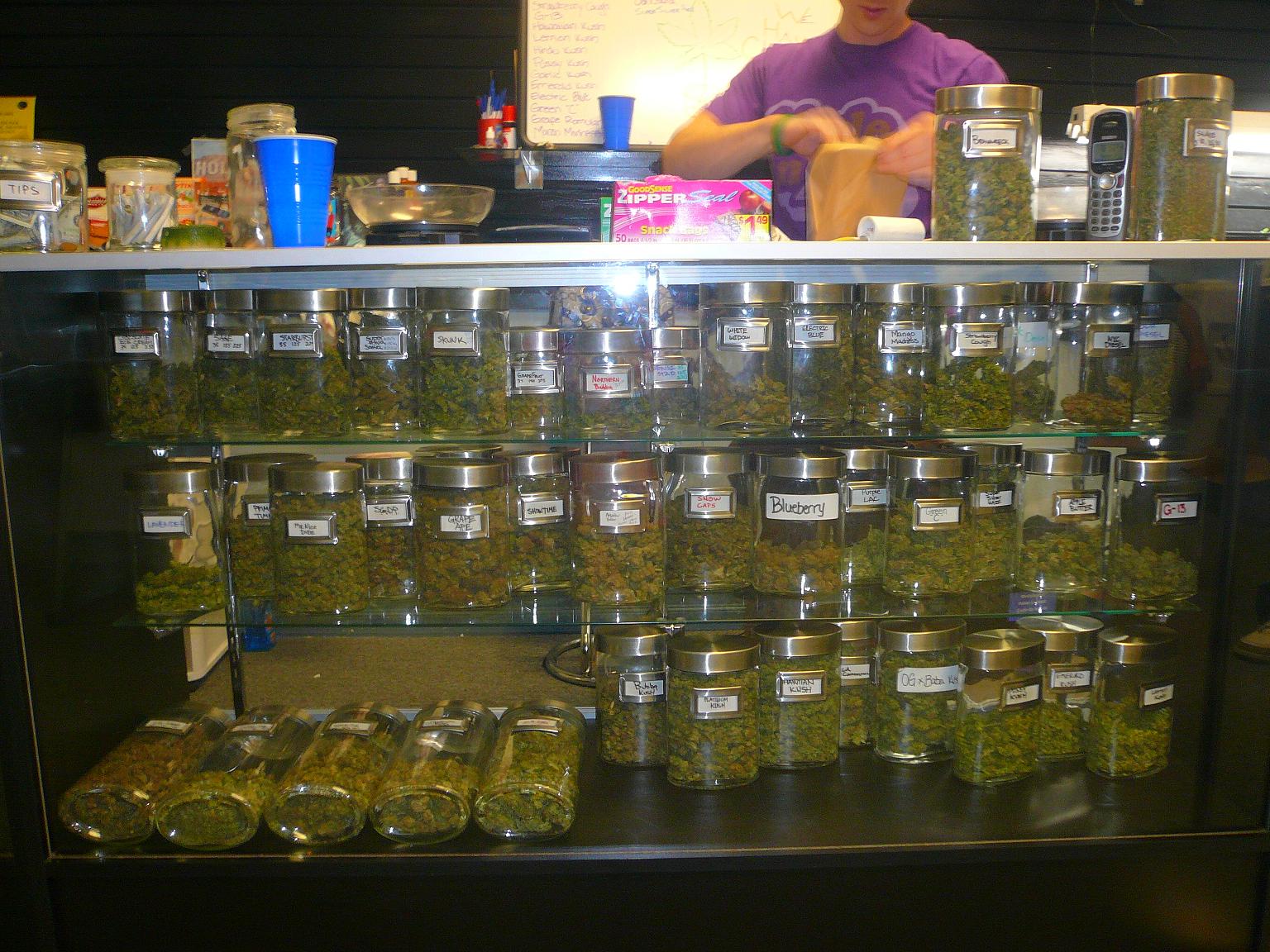 [cannibis.JPG]