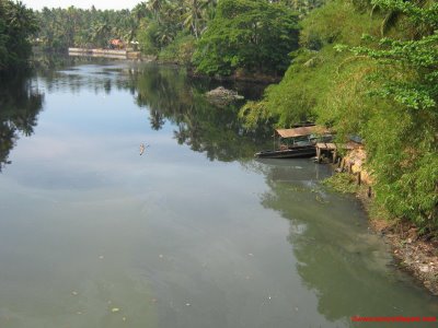 [IMG_0571.JPG]