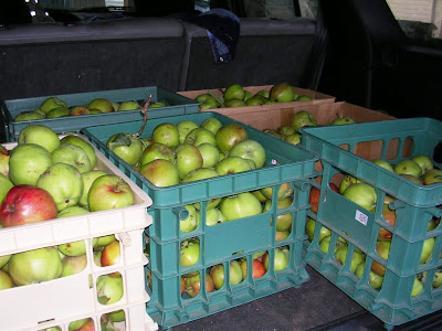 The vehicle was full of crates of apples - in the back cargo space and on