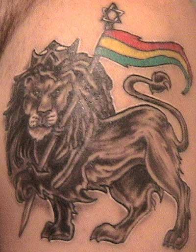 Tribal lion tattoos look like Tribal lion tattoos look like