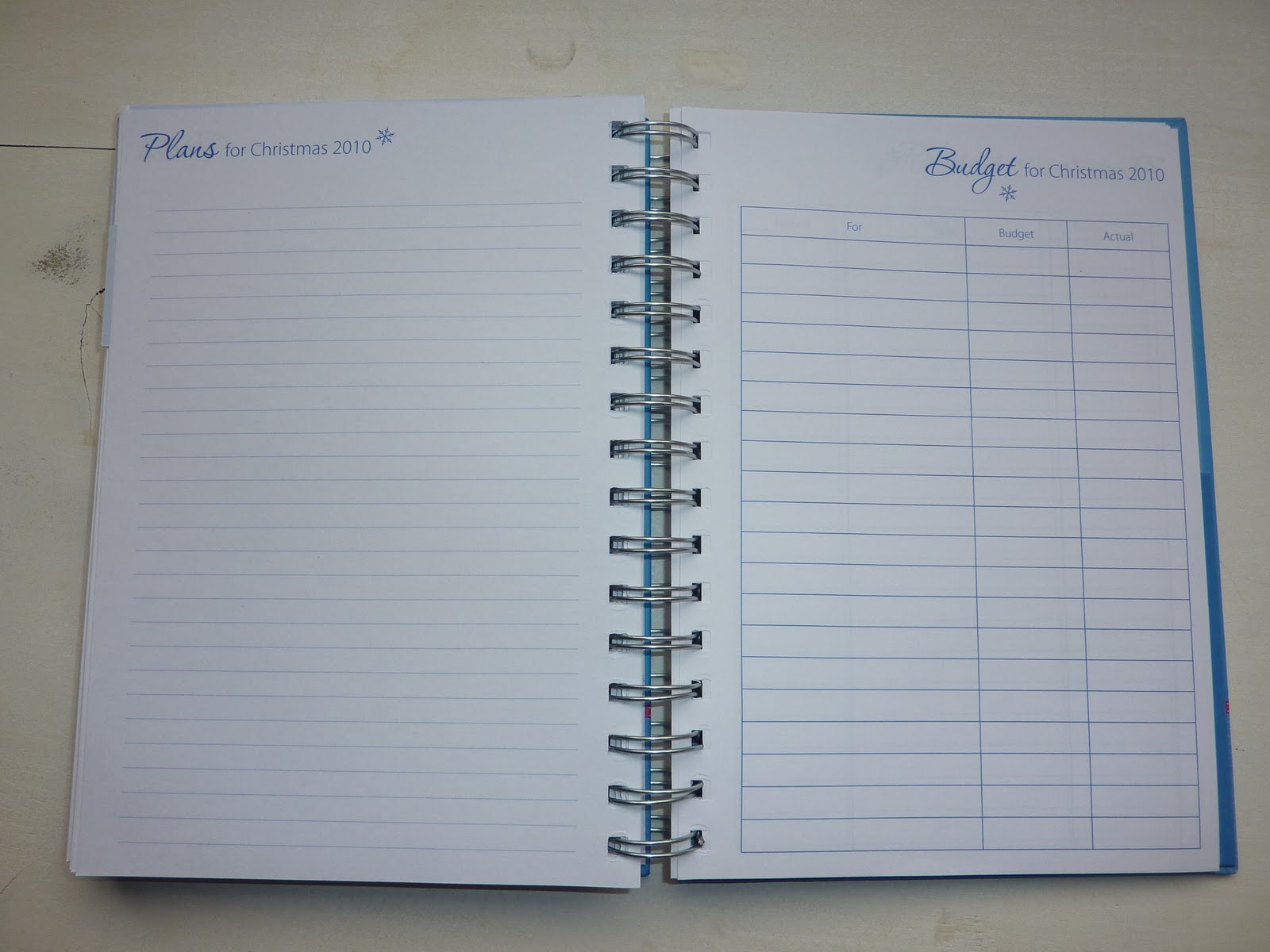 budget diary
