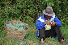 Farmer
