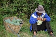 Farmer