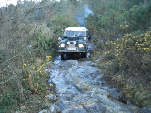 [DSC01426.JPG]