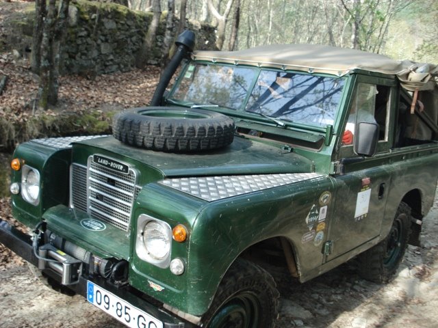 [DSC01340.JPG]