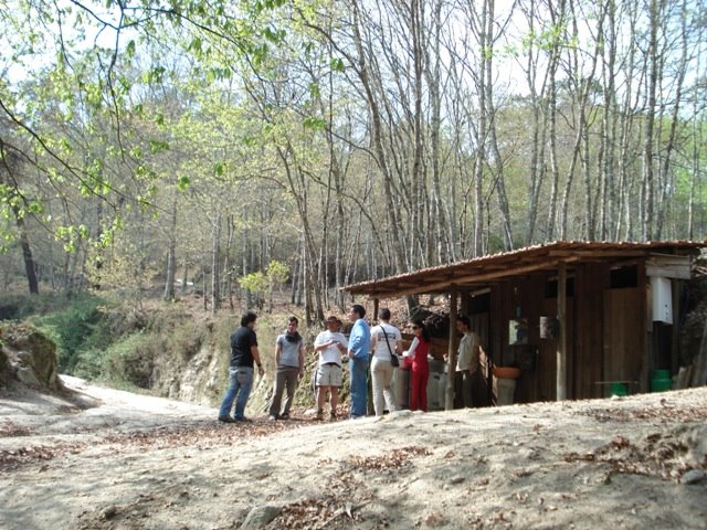 [DSC01333.JPG]