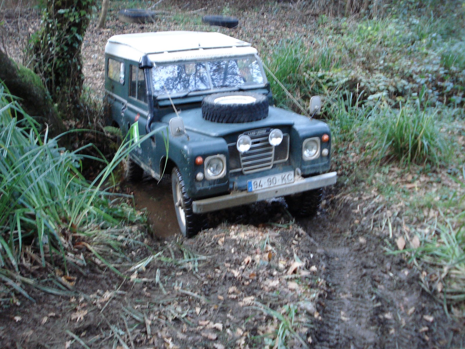 [DSC08223.JPG]