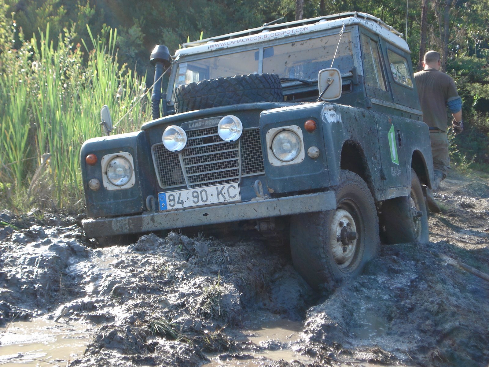 [DSC02565.JPG]