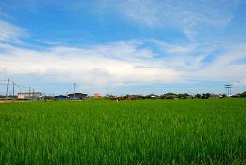 [DSC_0466.JPG]
