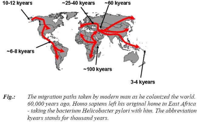 [Heli_migration.jpg]