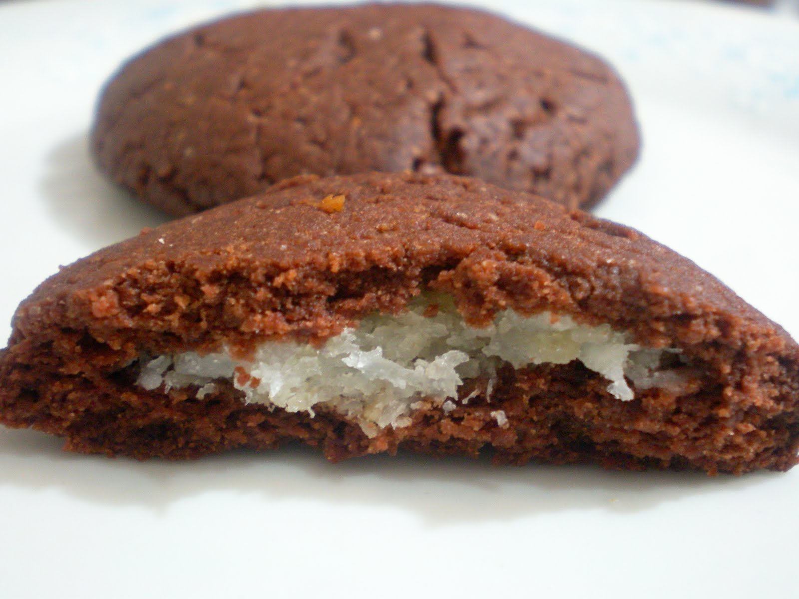 laboratuarım mutfak Hindistan Cevizi Dolgulu Kakaolu Kurabiye