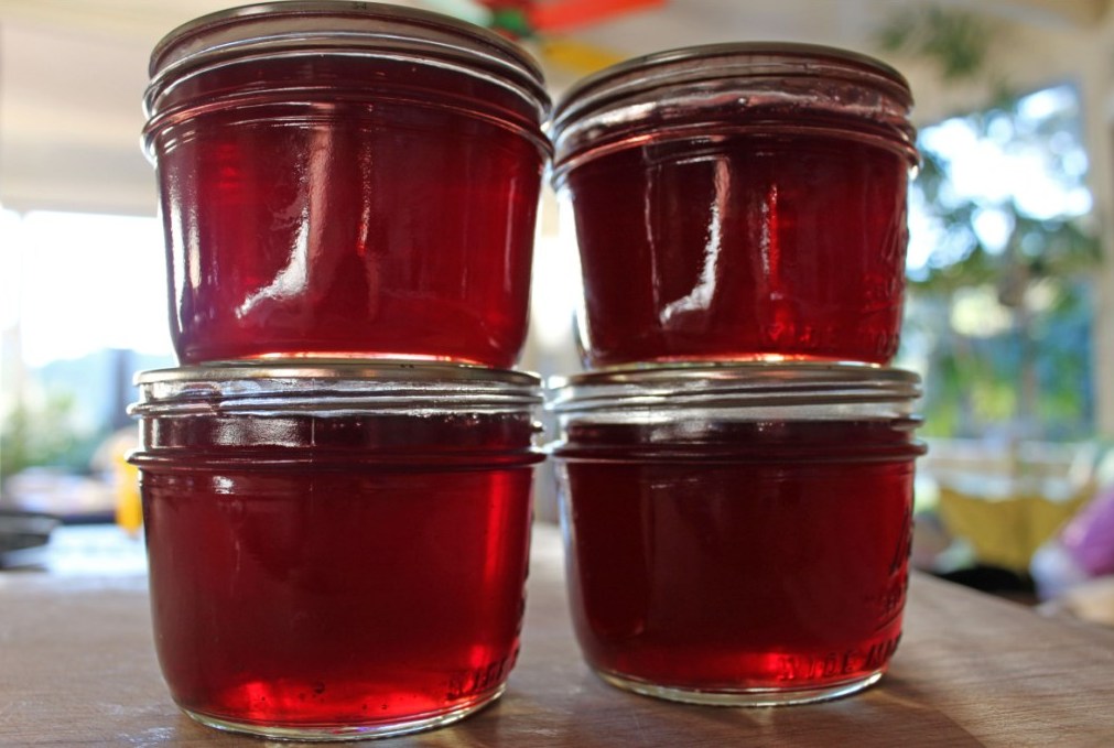 Pomegranate Champagne Jelly Hitchhiking to Heaven
