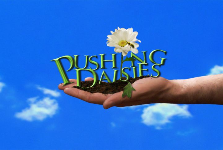 [pushingdaisies.jpg]