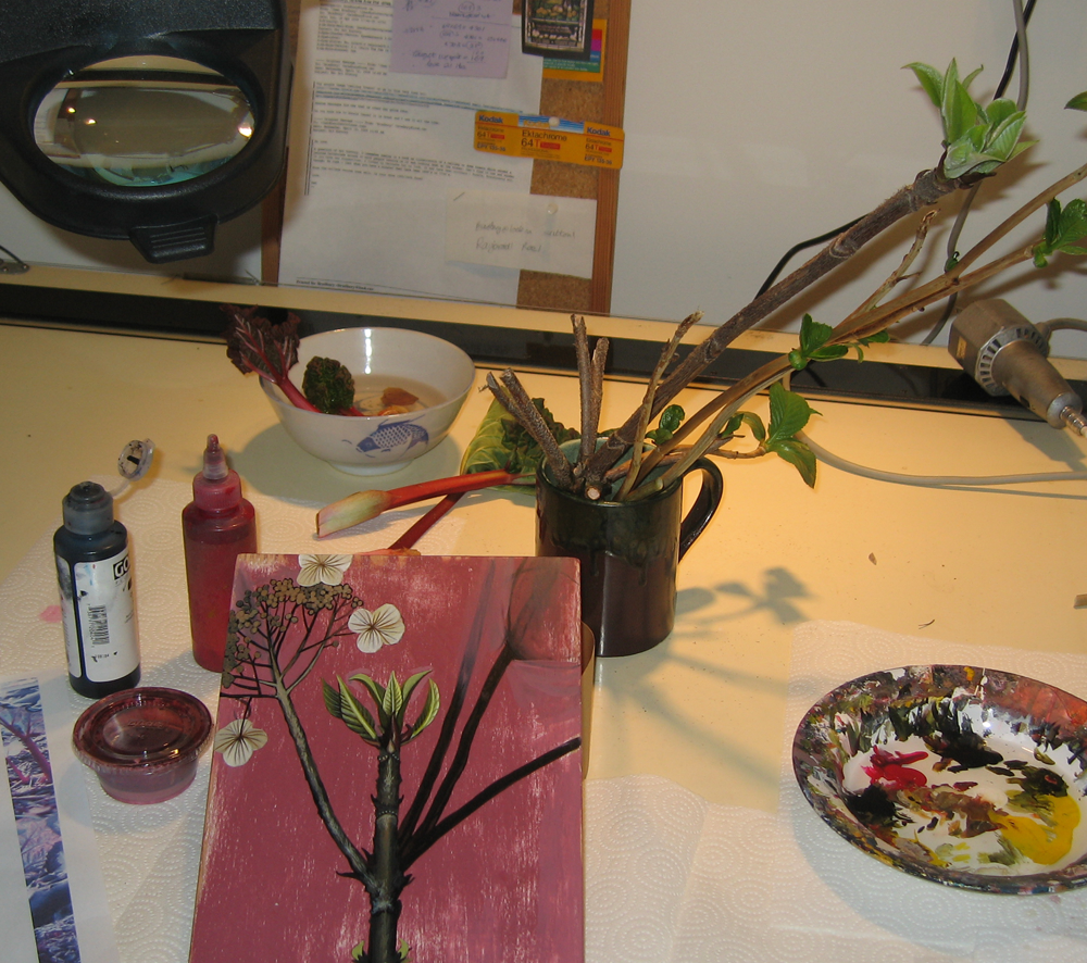 [hydrangea+studio.png]