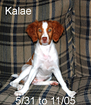 Kalae