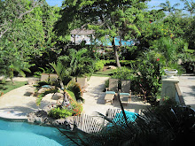 View from our room of the pool and gardens