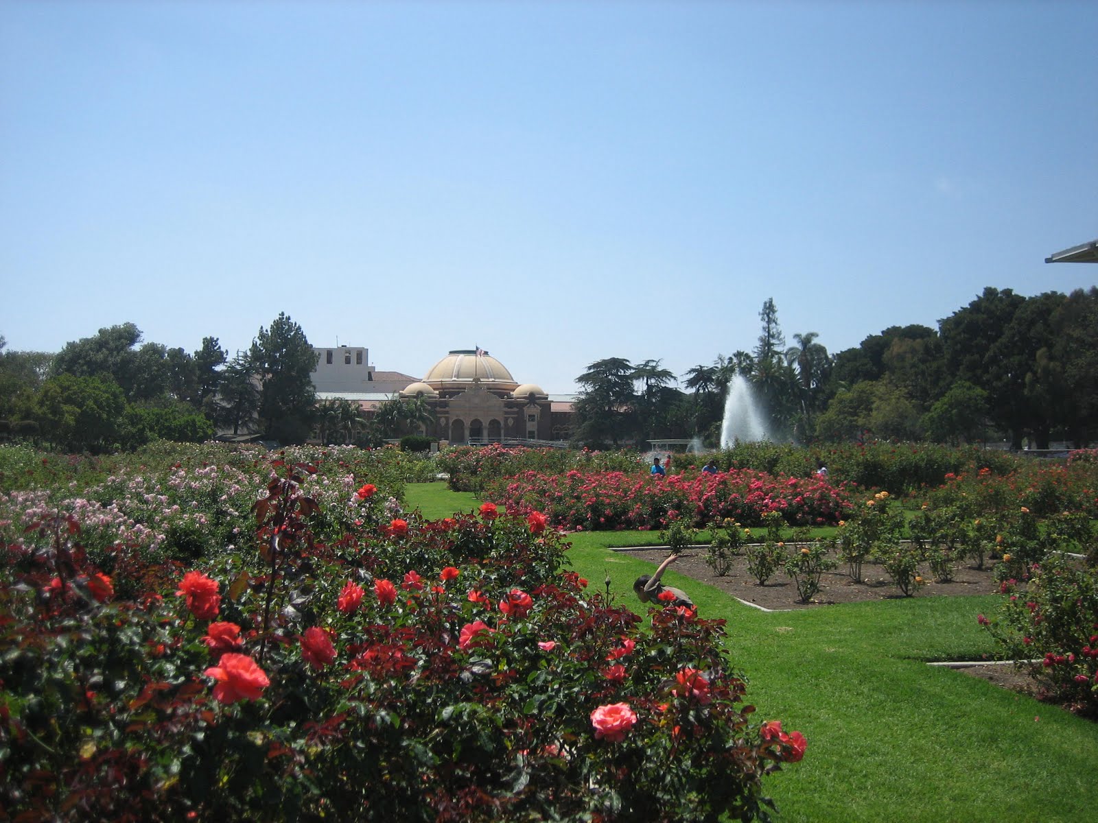L.A. Places Exposition Park Rose Garden