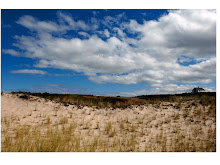 The small white building was Hopper's studio and home.