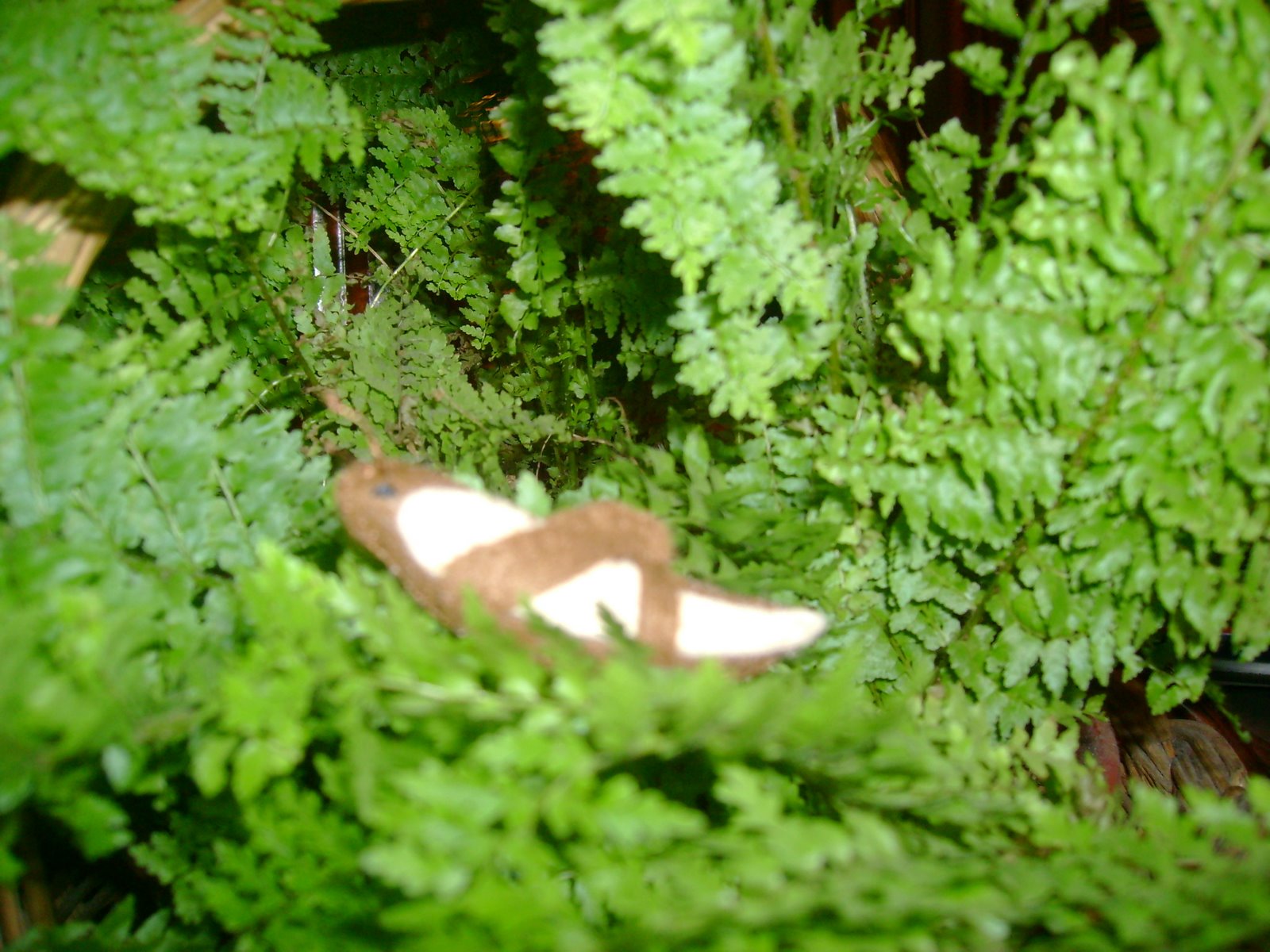 [DSC02147.JPG]