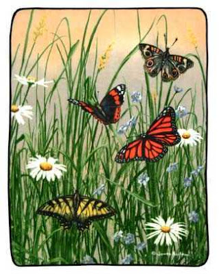 Current World News: Create a Butterfly Flower Garden