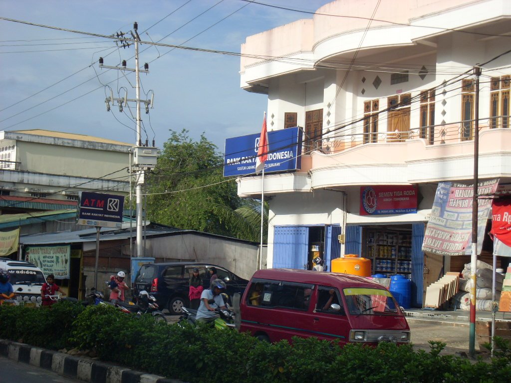 [SL371446.JPG]