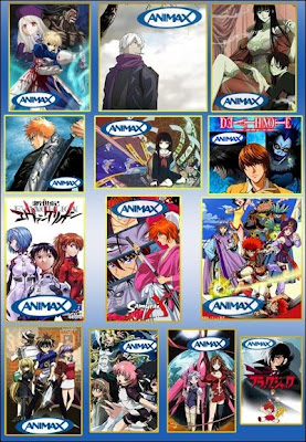animax 2008
